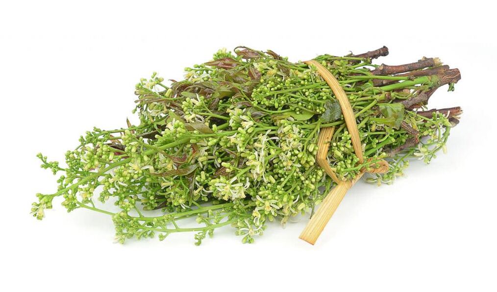 Medicinal herbs to get rid of onychomycosis